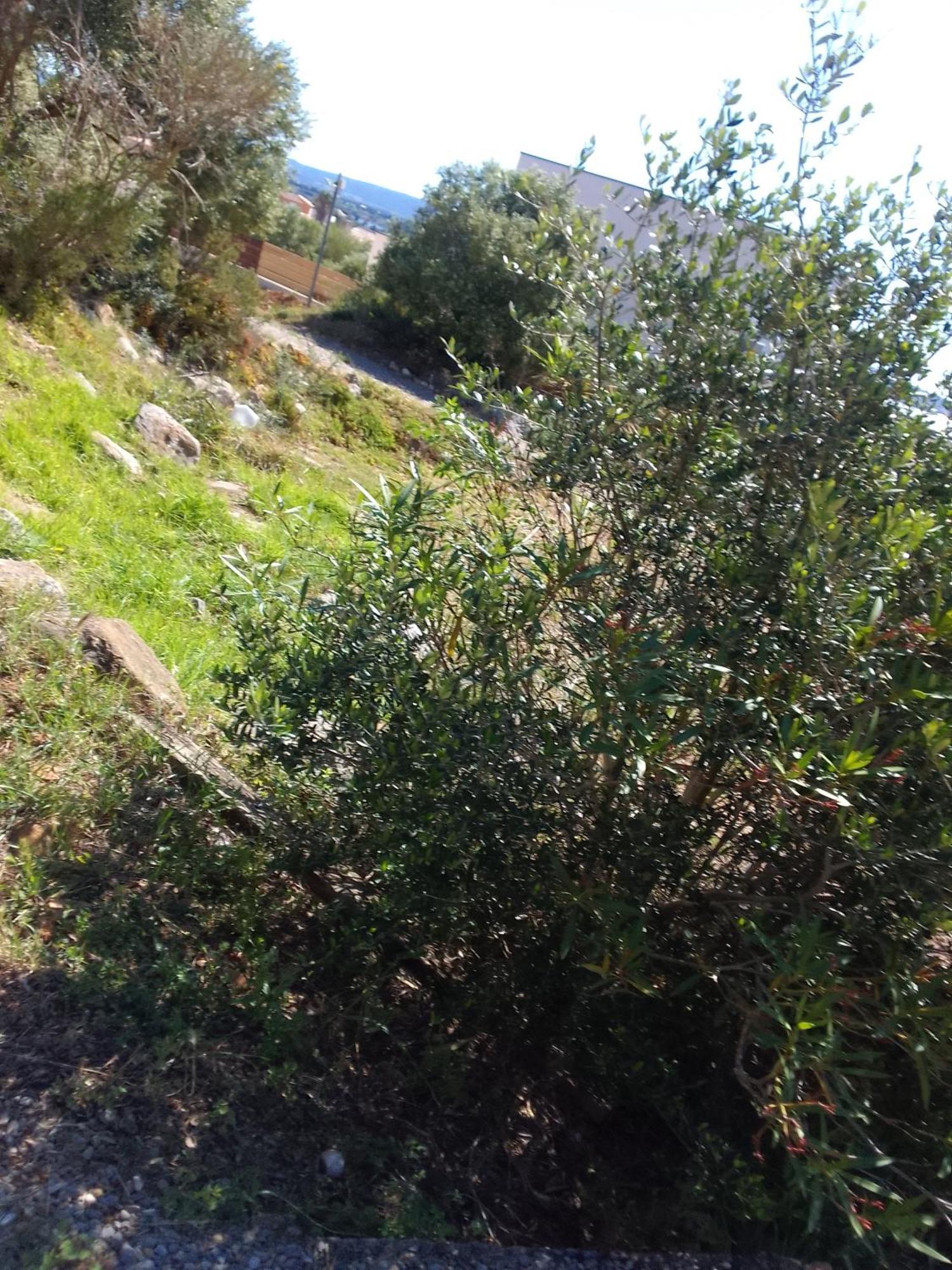 Gite De L'Etang Proche Des Grands Buffets Narbona Zewnętrze zdjęcie